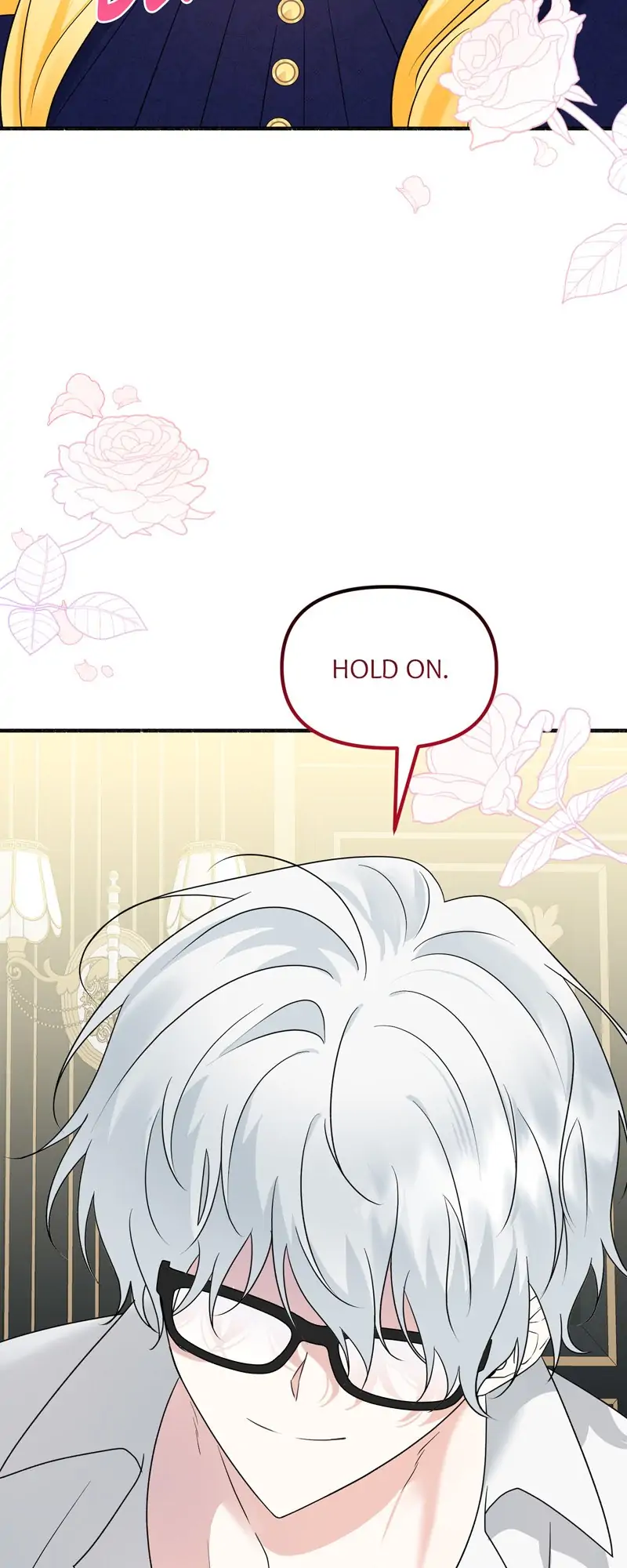 32997591 800 2000 74010