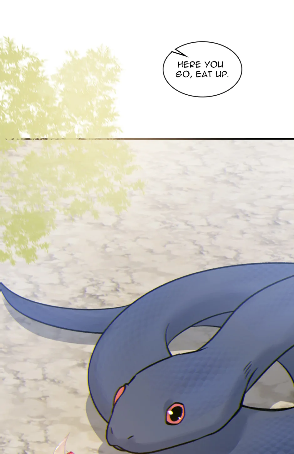 74052321 940 1448 51286